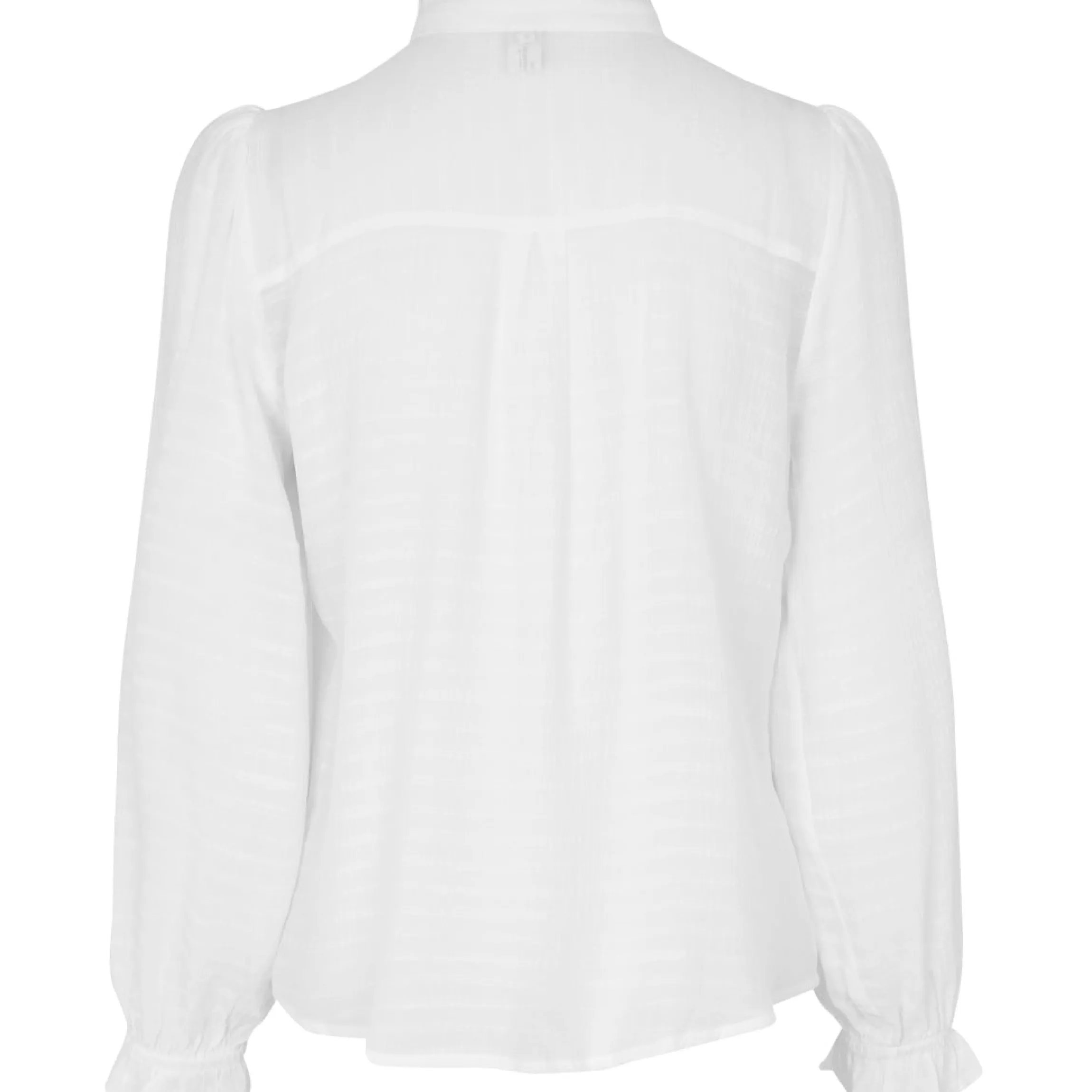 ArielLL Shirt LS